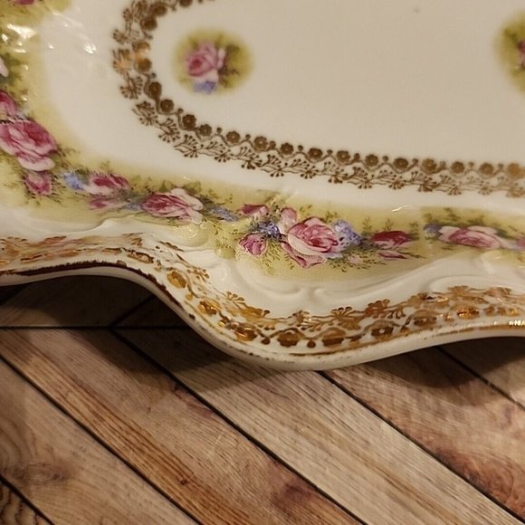 C.T. Carl Tielsch Porcelain Relish Dish Celery Oval Floral Germany 12x6 Antique - Picture 7 of 14